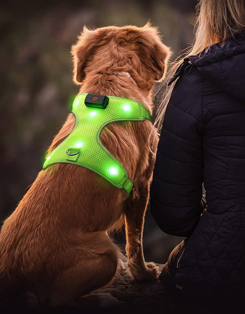 Load image into Gallery viewer, LED Dog Harness, Lighted up USB Rechargeable Pet Harness, Illuminated Reflective Glowing Dog Vest Adjustable Soft Padded No-Pull Suit for Small, Medium, Large Dogs (Green, S)
