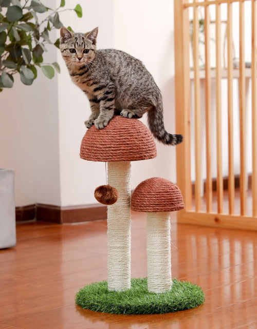 Load image into Gallery viewer, 2 Mushrooms Cat Scratching Post 19&quot; Sisal Claw Scratcher for Kittens and Small Cats, Brown
